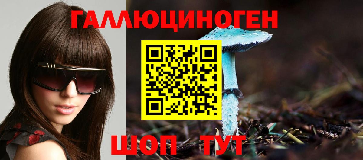 Галлюциногенные грибы Psilocybe  Вход с VPN  Соль-Илецк  Псилоцибиновые грибы прущие грибы 